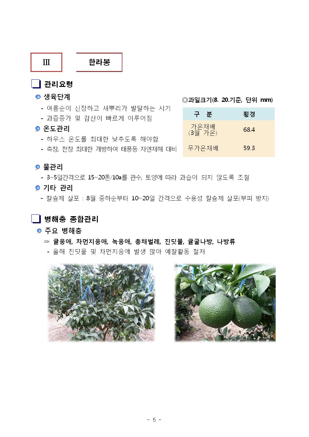 서귀포농업 인터넷 정보지 창간호(8.23) 